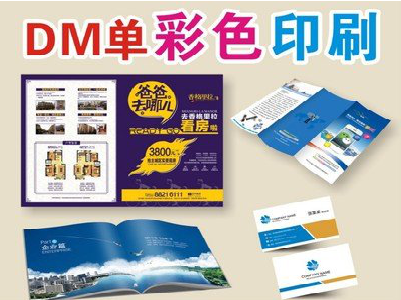 金门单页印刷，色彩搭配简单。